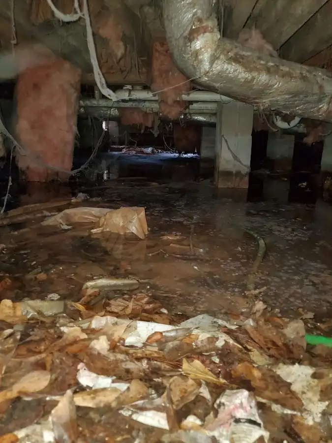 Crawl space flood assessment for Leak Detection & Repair in Yulee